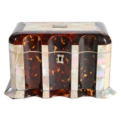 English Regency Mother of Pearl, Abalone, and Tortoise Shell Double Tea Caddy 