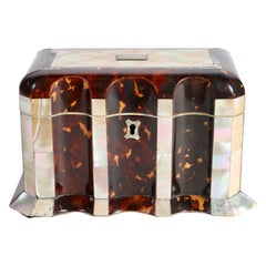 English Regency Mother of Pearl, Abalone, and Tortoise Shell Double Tea Caddy