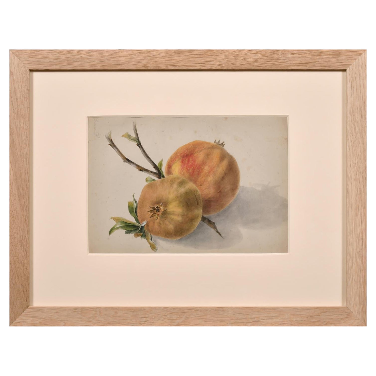 Fine 19thc Botannical Watercolour Drawing - Two Red & Green Apples & Branch For Sale