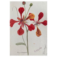 Belle peinture à l'aquarelle abstraite britannique ancienne de style bohémien, fleurs rouges des années 1900