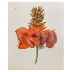 Antikes britisches Botanisches Aquarellgemälde, um 1900