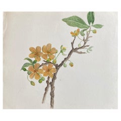 Antikes britisches Botanisches Aquarellgemälde, um 1900 