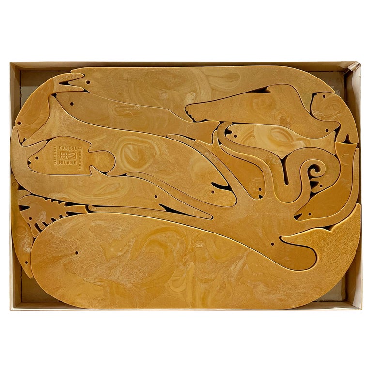 Enzo Mari 16 Pesci Puzzle for Danese Milano - 1st Edition - Midcentury  Modern For Sale at 1stDibs