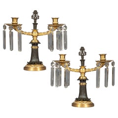 19th Century Ormolu and Patinated Bronze Candelabra