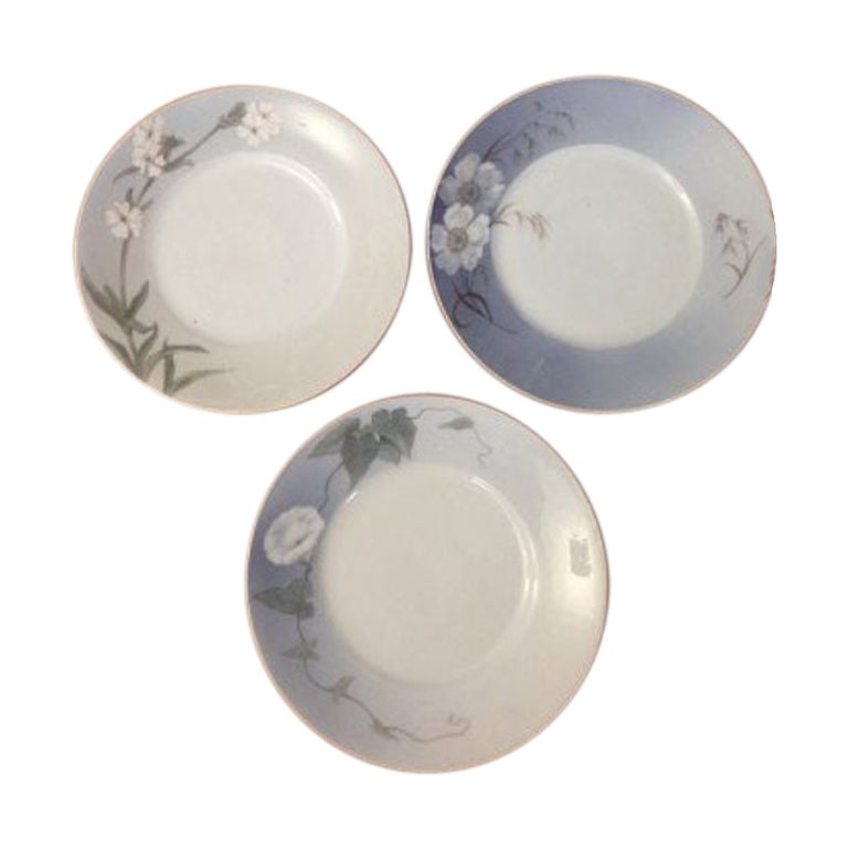 Royal Copenhagen Art Nouveau Dinner Plates with Flower Motif No 10519 For Sale