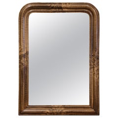 19th Century, Louis Philippe Faux Burl Wood Painted Wall Mirror