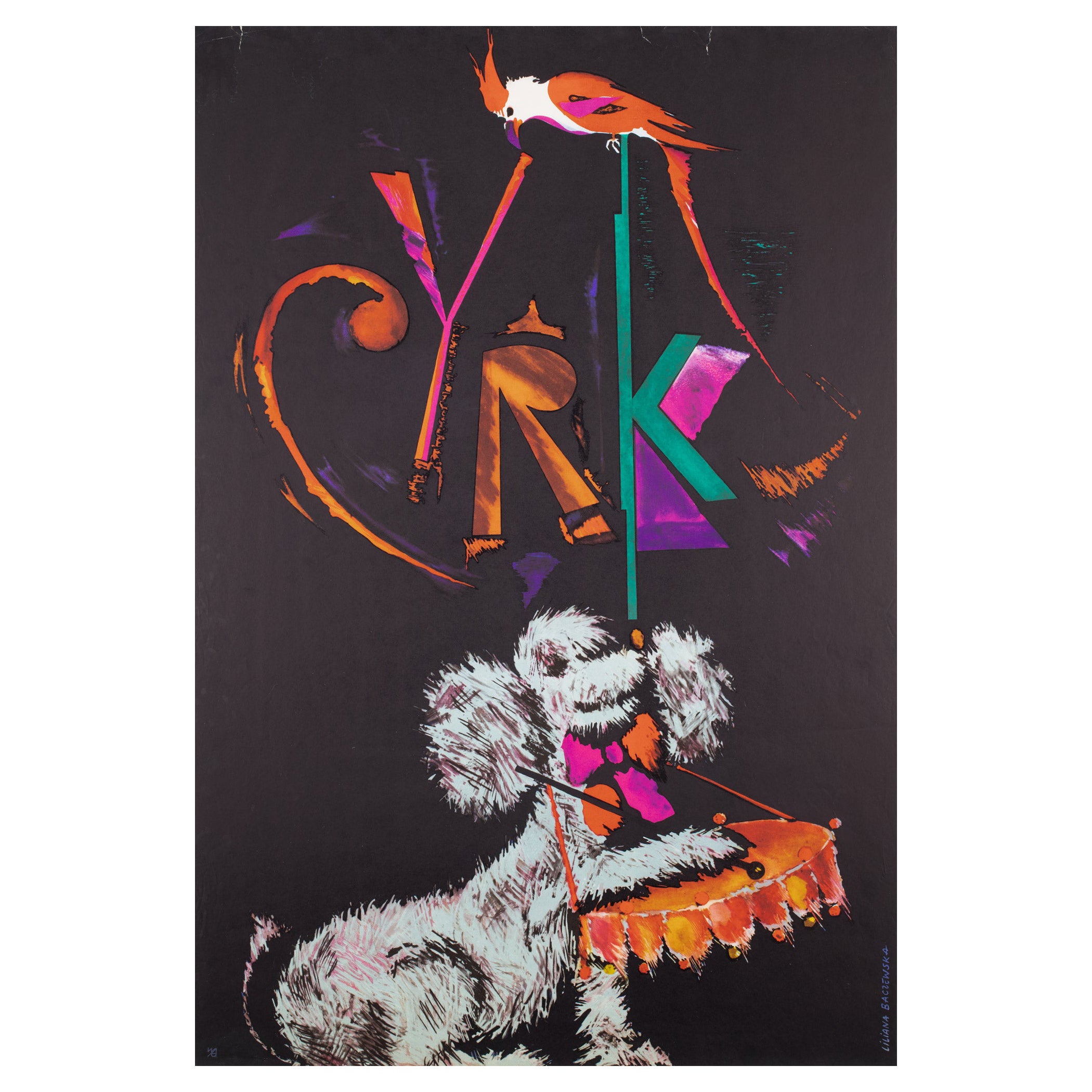 Affiche polonaise d'un cirque, caniche à tambour et perroquet, Cyrk, Baczewska, 1965