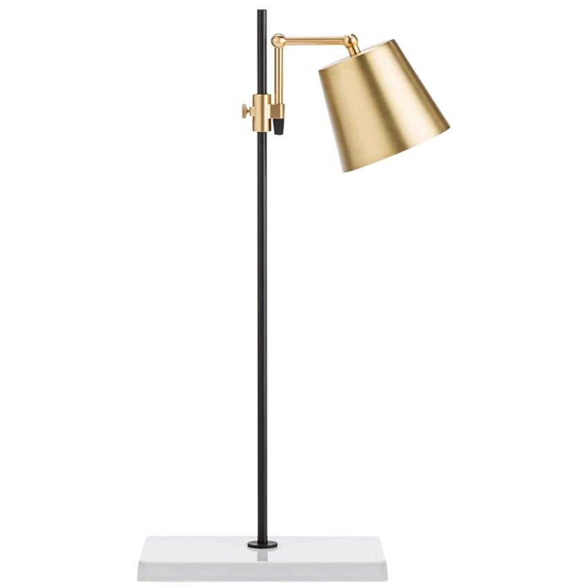 Anatomy Design „Lab Light Table“ Lampe aus Messing, Porzellan und Stahl von Karakter im Angebot