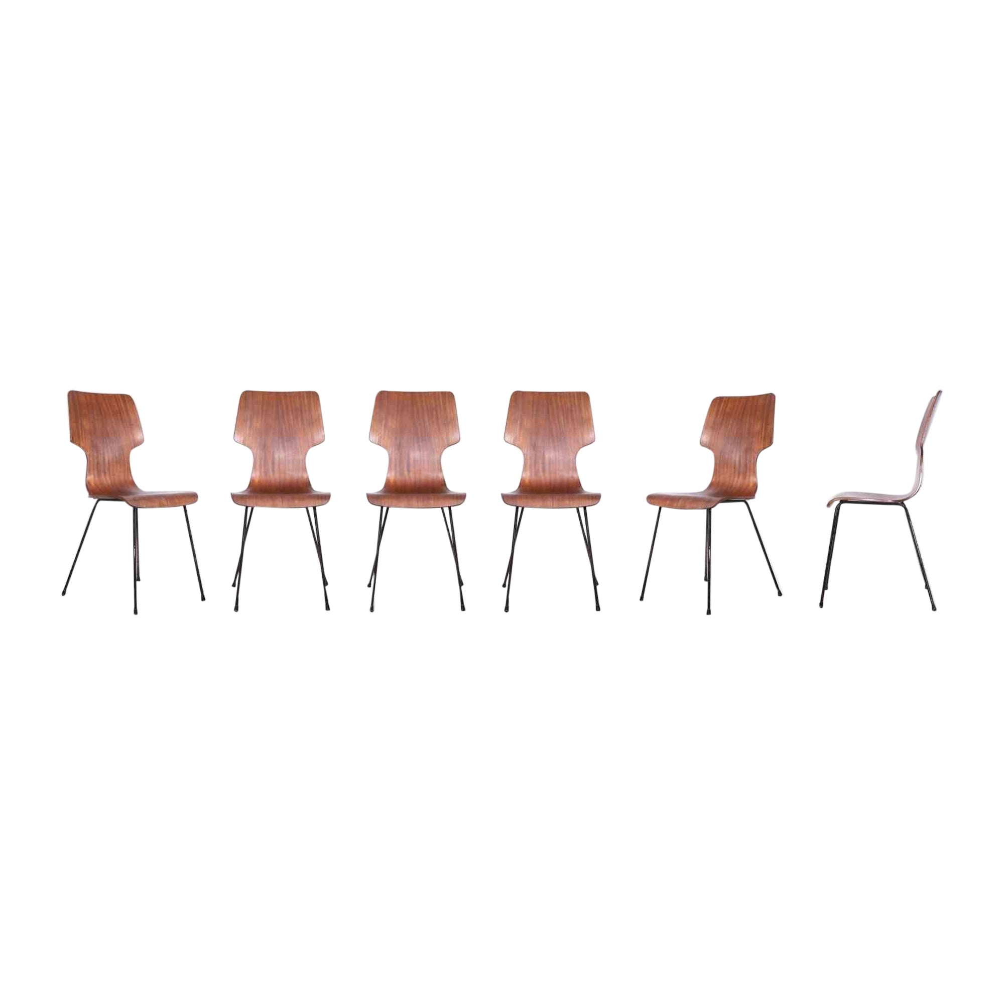 Set of 6 Vintage Chairs by Carlo Ratti, 1950s