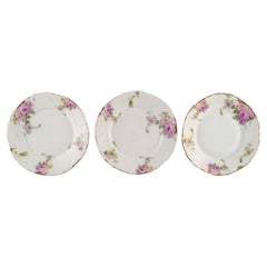 Antique Rosenthal, Germany, Three Iris Plates in Hand-Painted Porcelain with Flowers