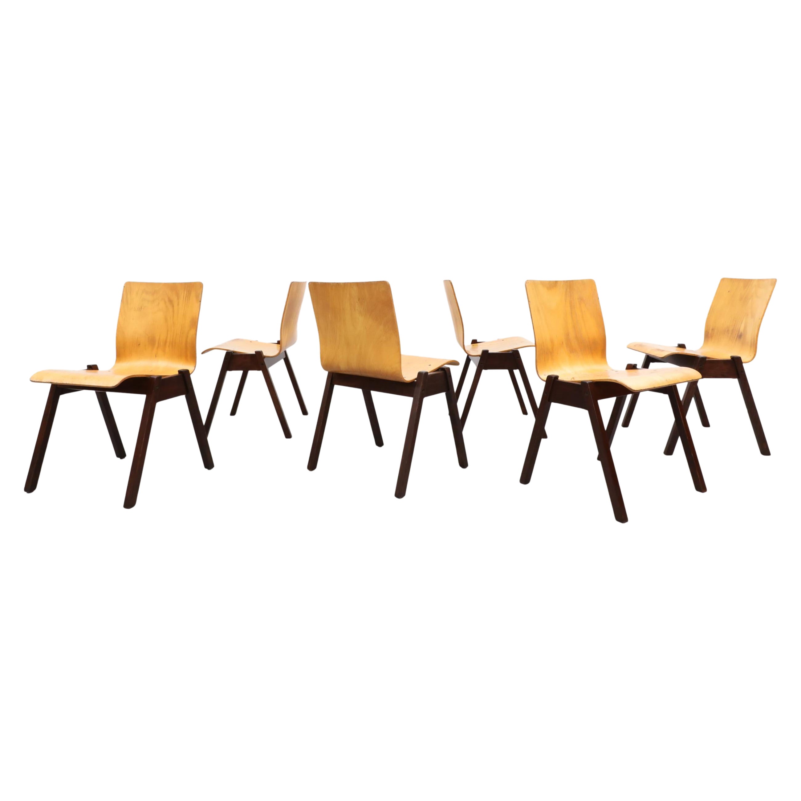 Roland Rainer Style Stacking Bent Beech Chairs with Dark Brown Stained Wood Legs