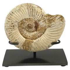 Small Ammonite Sculpture on Stand, Madagascar, Prehistoric