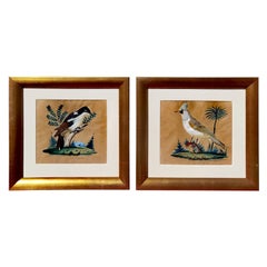 Pair of Late 19th Century Paintings Taxidermy Birds, Germany