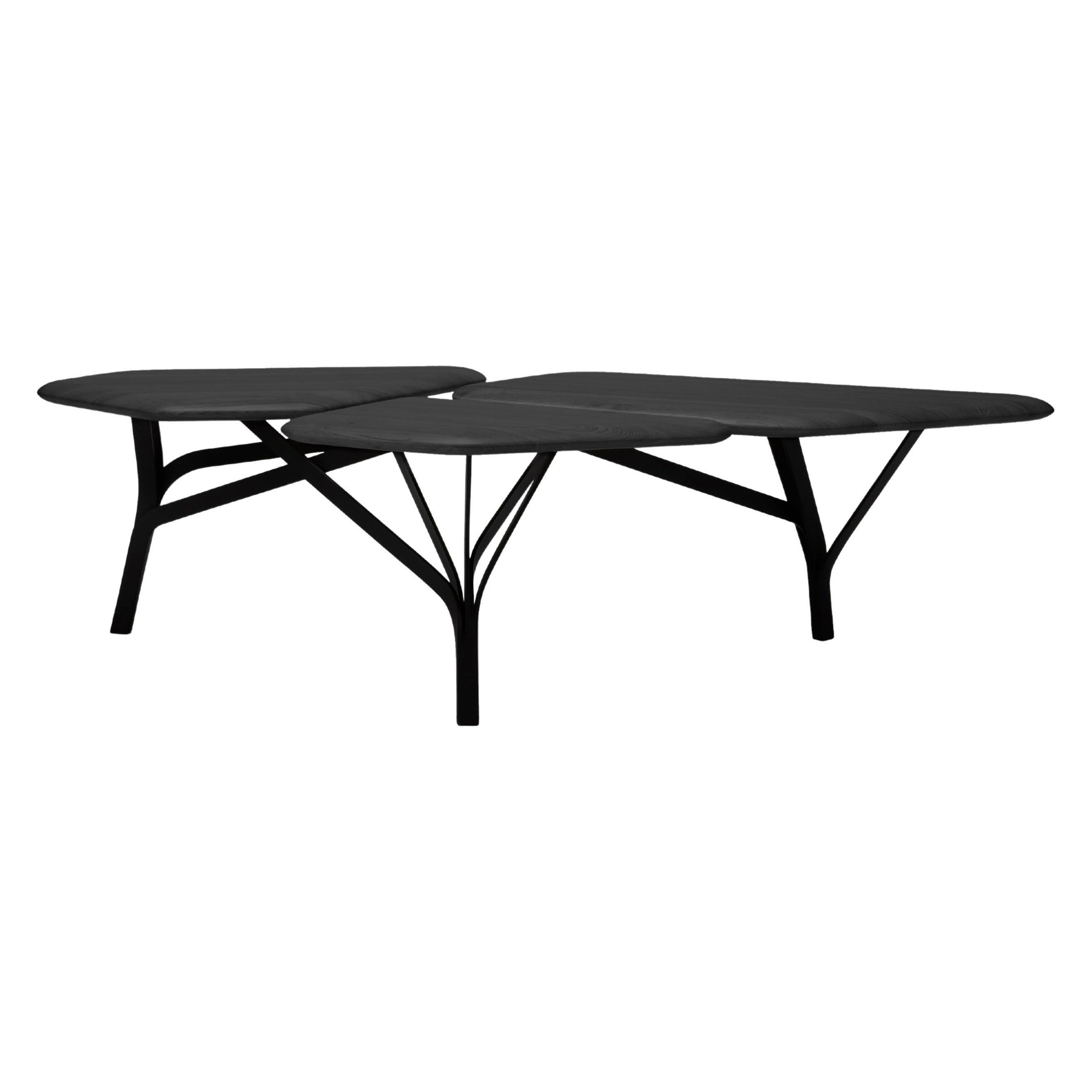 Borghese Coffee Table, Black Wood Top by Noé Duchaufour Lawrance for La Chance For Sale