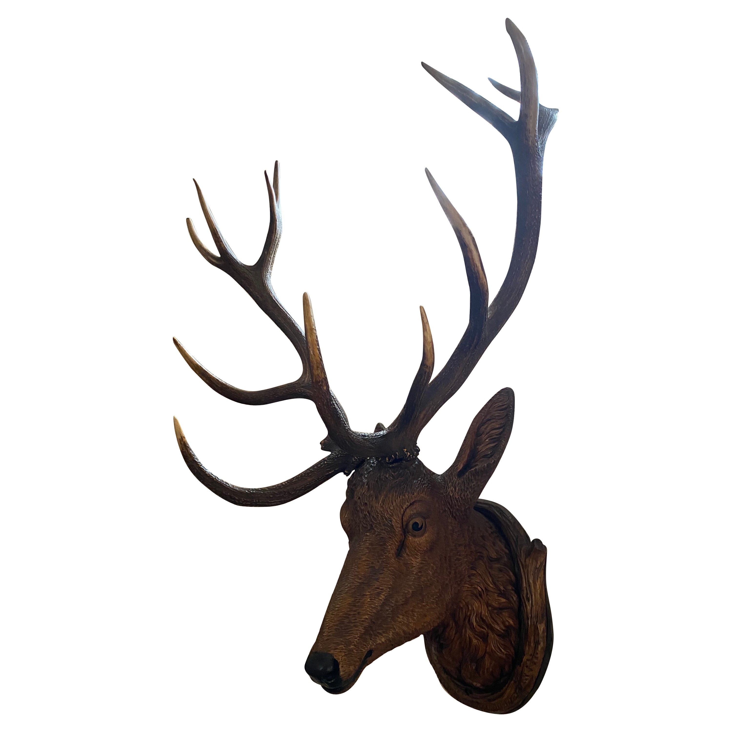 Stately Carved Wood Black Forest Deer Head with Real Antler Mounts, Great Scale