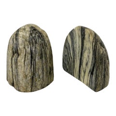 Vintage Petrified Wood Bookends