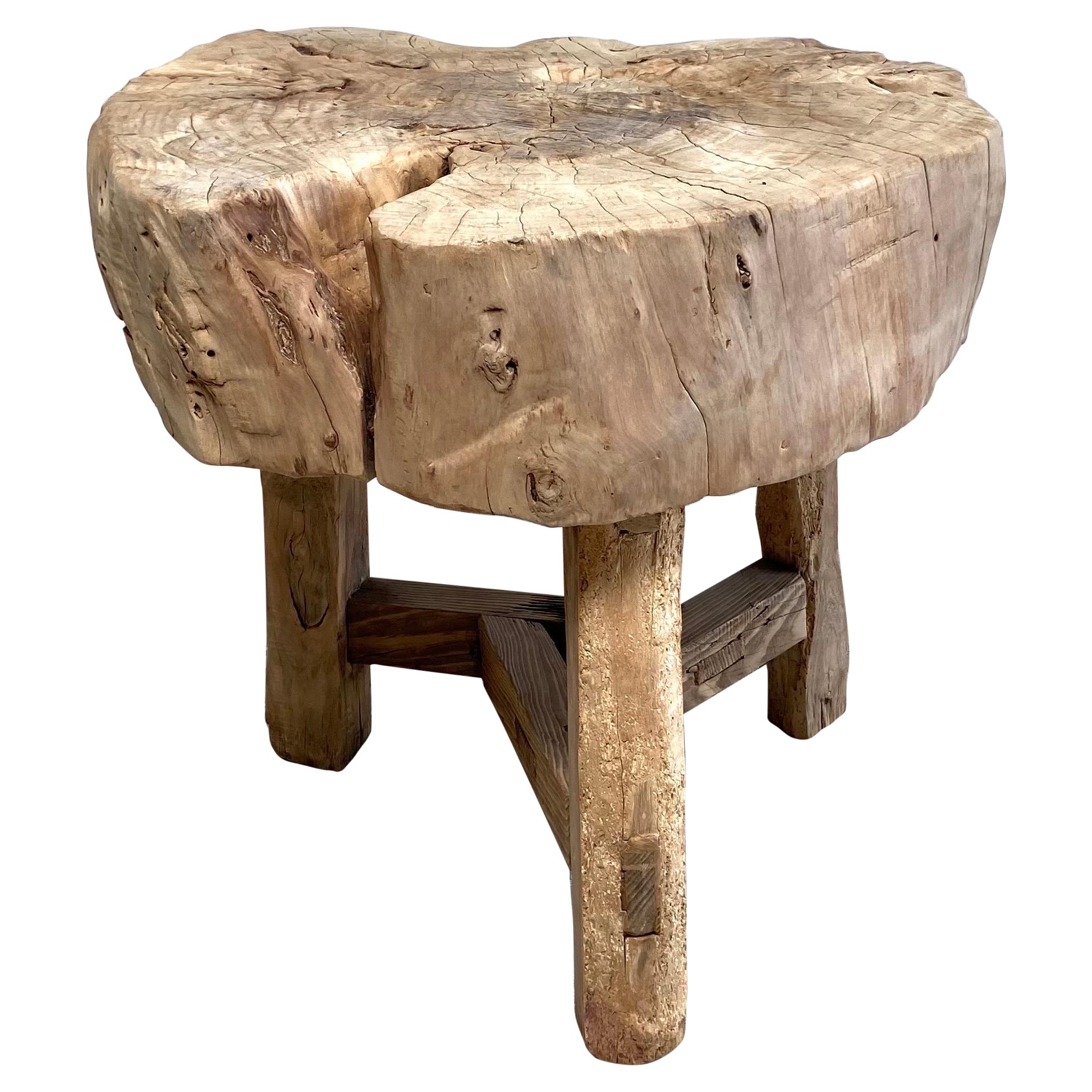 Primitive Petrified Wood Stump Form Side Table at 1stDibs