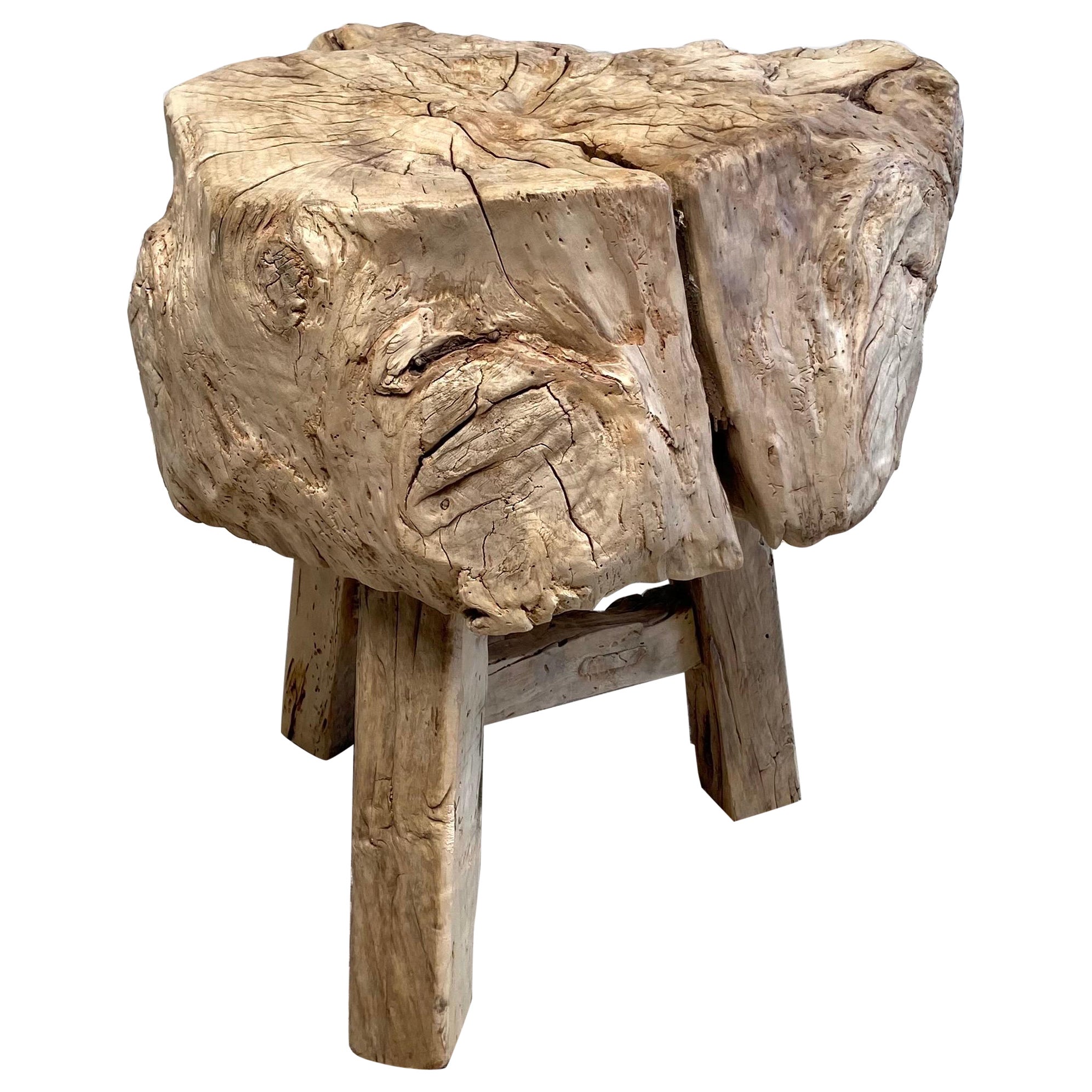 Rustic Elm Wood Stump Side Table