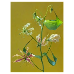 Anna Condo, Gloriosa Lillies, impression par teinture sur aluminium, États-Unis, 2021