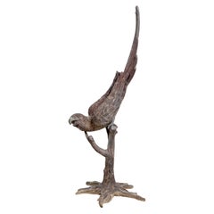 Used Cast Bronze Parrot Garden Statue