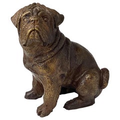 French Bronze Seated Bull Dog Sculpture