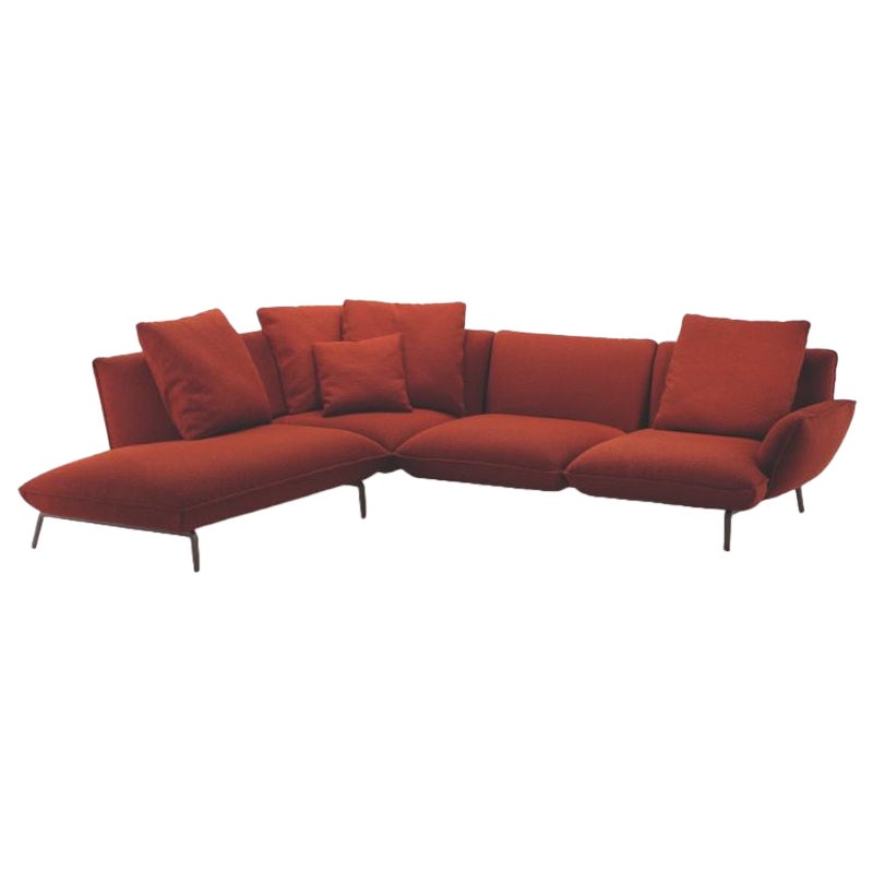 Zanotta Taubenförmiges Sofa mit roter Polsterung und Graphit-Aluminiumrahmen
