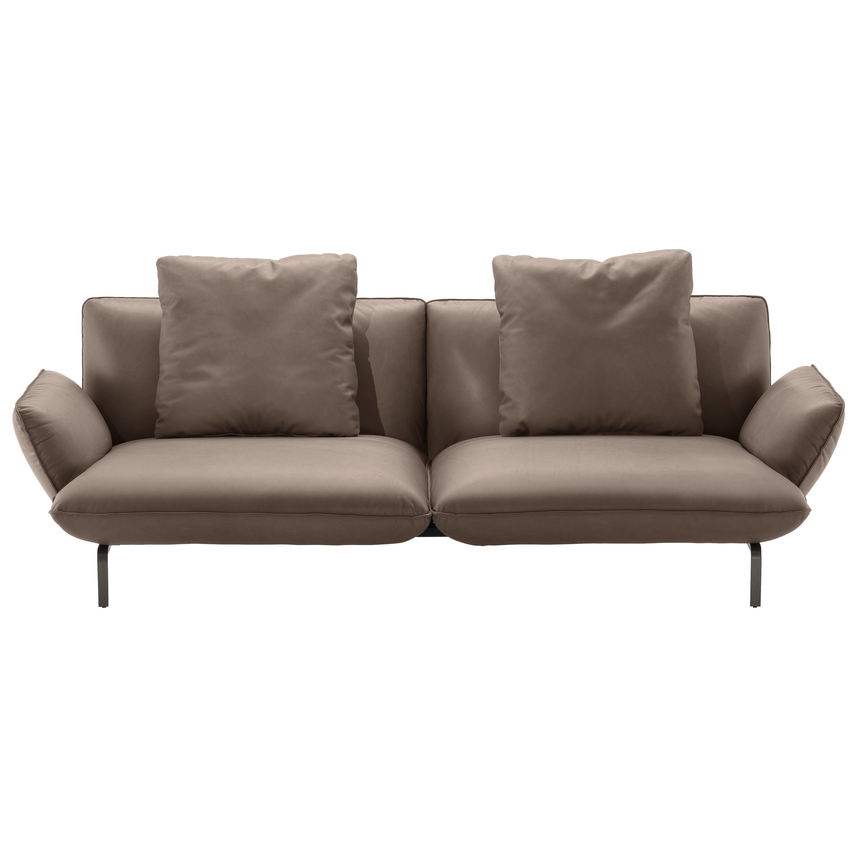 Zanotta Large Dove Sofa in Brown Leather with Graphite Painted