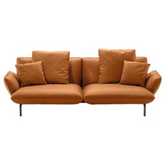 Großes Sofa Zanotta mit Taubenmotiv aus braunem Leder mit Graphitfarbenem Aluminiumrahmen