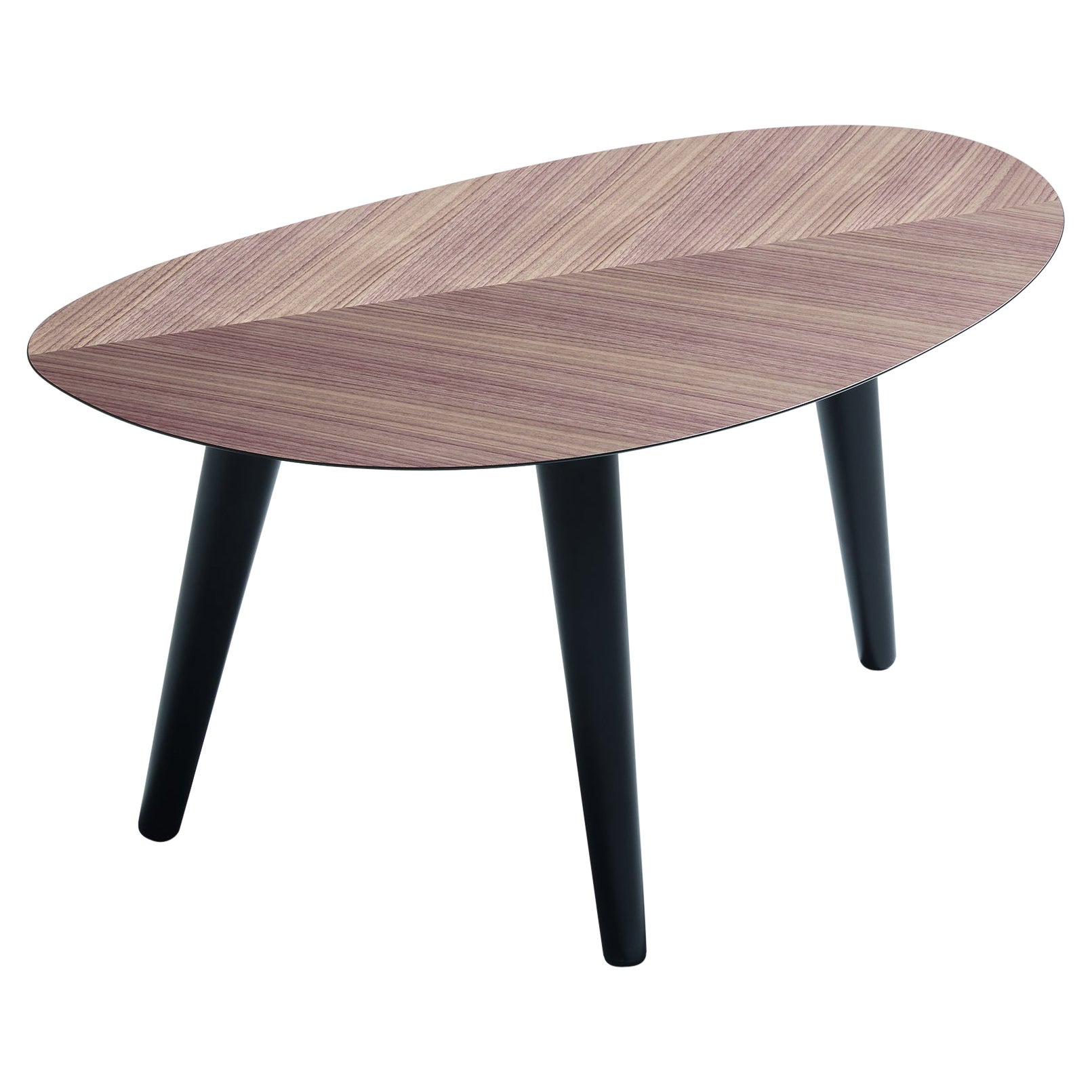 Zanotta Small Tweed Mini Table in Canaletto Walnut Top with Black Frame For Sale