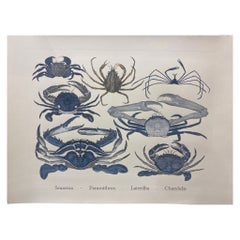 Italian Contemporary Hand Painted Print Japanese Sea Life "Crabs", 2 of 4