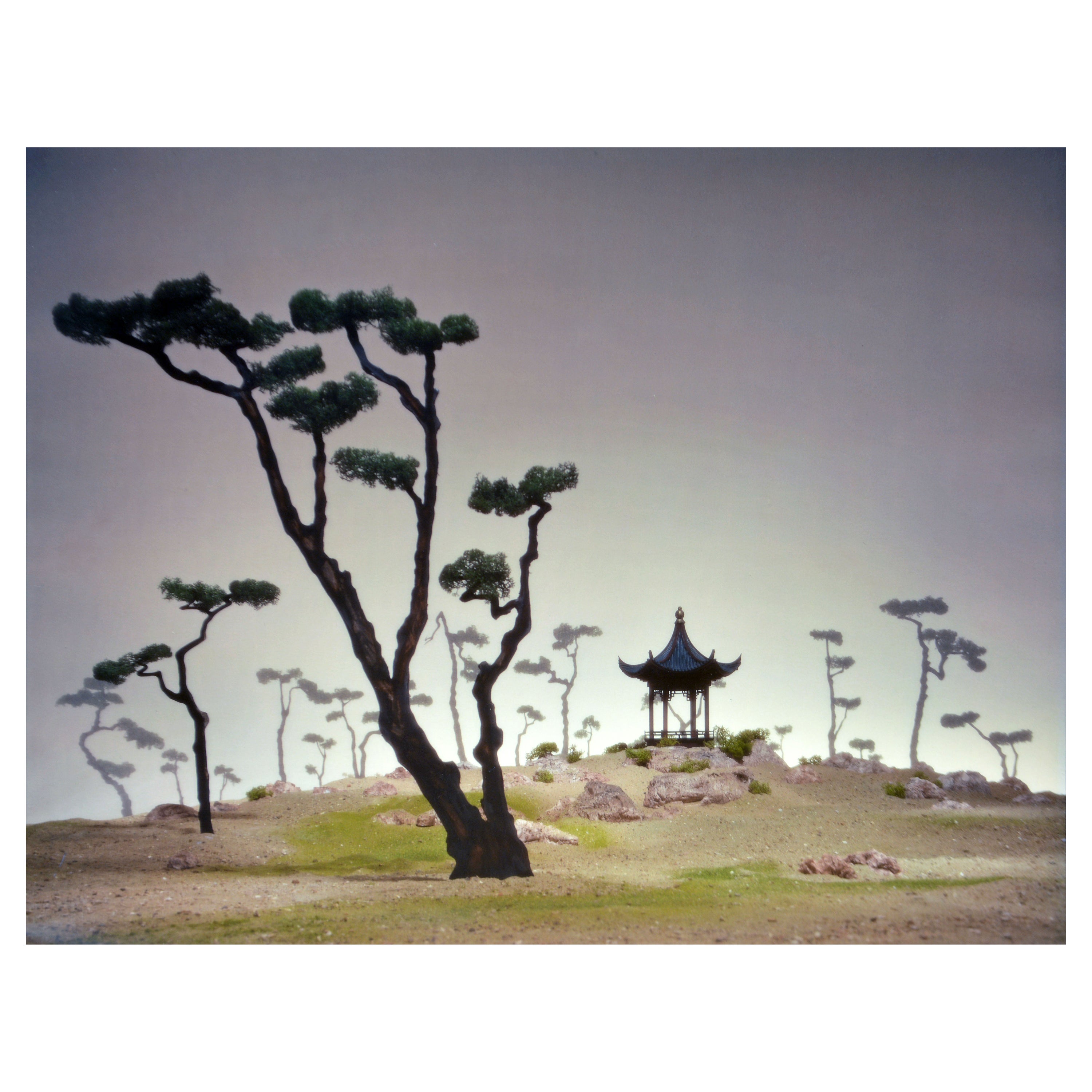 Didier Massard, Franzose, geb. 1953, signiertes Foto „Landschaft mit chinesischem Pavillon“