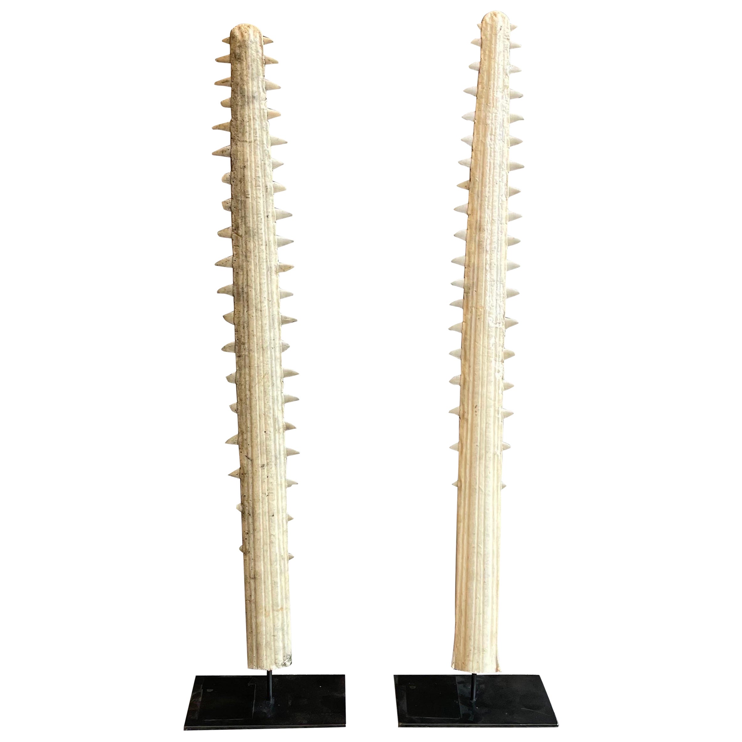Pair of Saw Tooth Fish Bill on Metal Stands For Sale