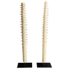 Pair of Saw Tooth Fish Bill on Metal Stands