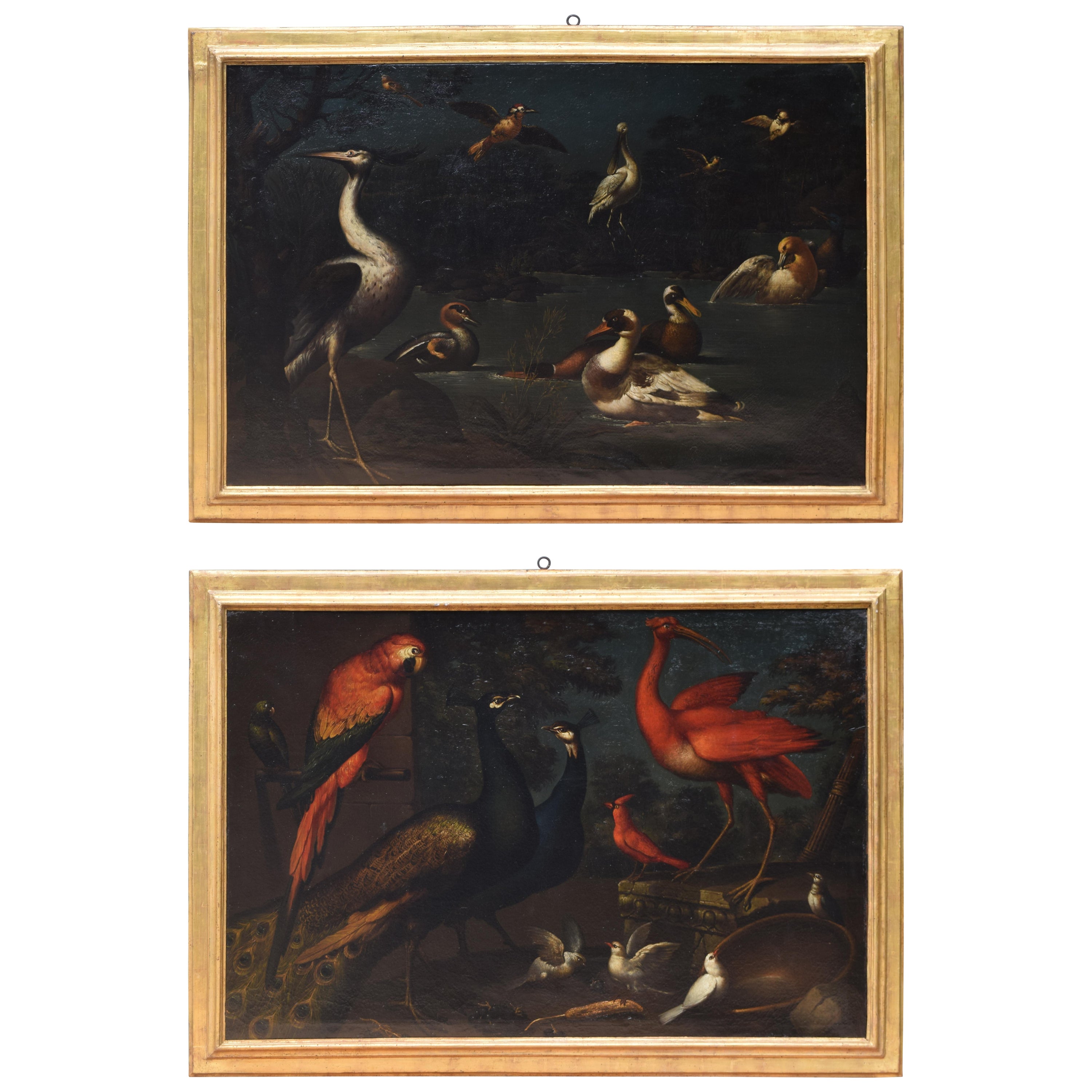 Exceptional Pair of Mid 18th Century Oils on Canvas,  Assembly of Exotic Birds