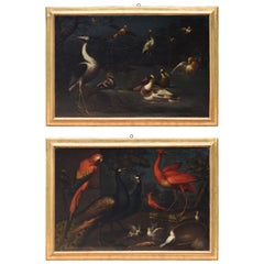 Exceptional Pair of Mid 18th Century Oils on Canvas,  Assembly of Exotic Birds