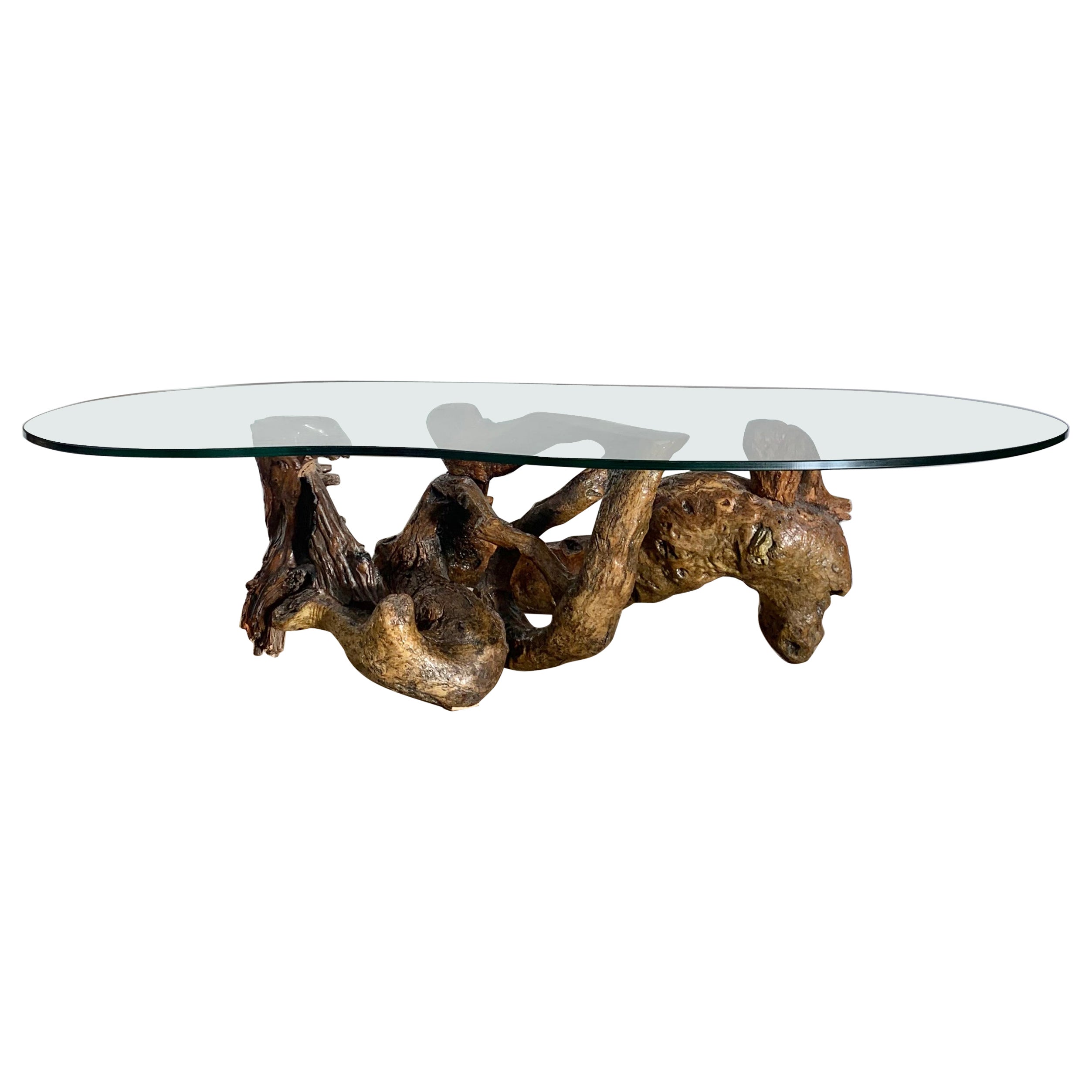 Raw Root Wood Coffee Table with Biomorphic Glass Top, 1970s