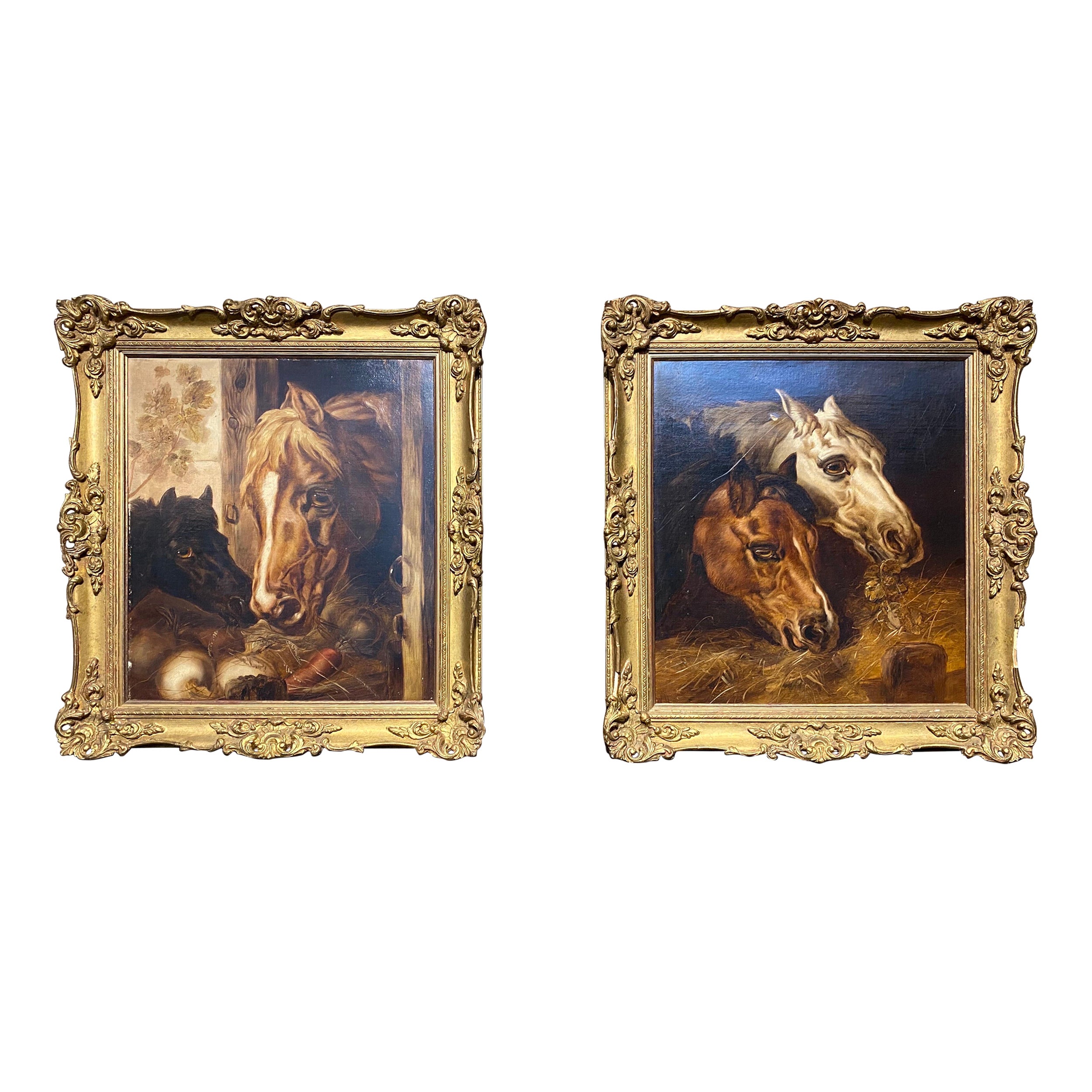 Coppia di dipinti antichi a olio/tela raffiguranti un cavallo e una giumenta, firmati/corniciati  in vendita
