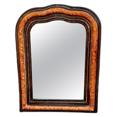 19th Century French Louis Philippe Faux Bois Mirror