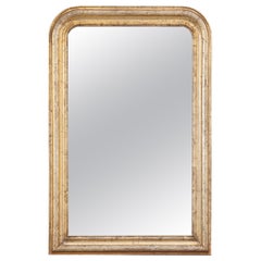 French, 19th Century, Louis Philippe Mirror