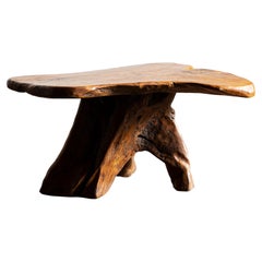 French Brutalist Live Edge Root Coffee Table