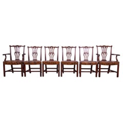 Baker Furniture Georgian Carved Mahogany Dining Chairs, Set of Six