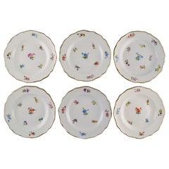 Six Antique Meissen Porcelain Plates with Hand-Painted Flowers and Gold Edge.