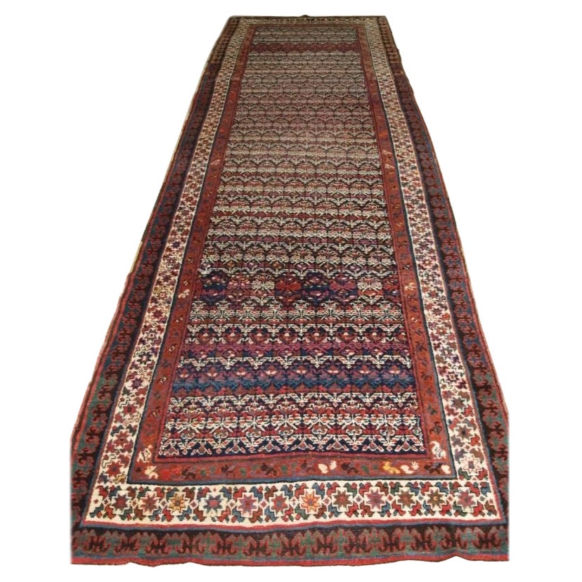 Antique Kurdish Runner with All Over Shrub Design, circa 1900