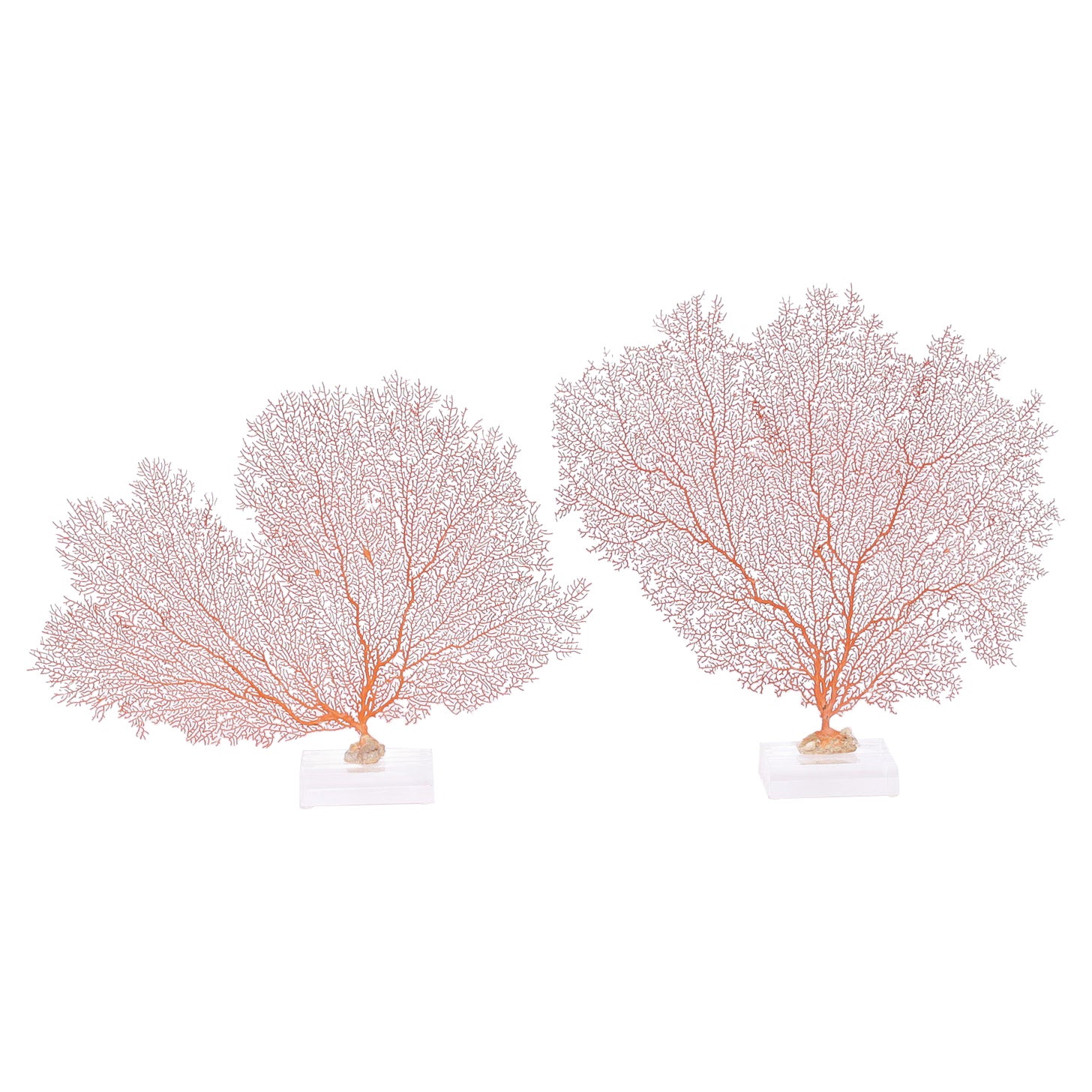 Two Red Sea Fans Specimens on Lucite, Priced Individually