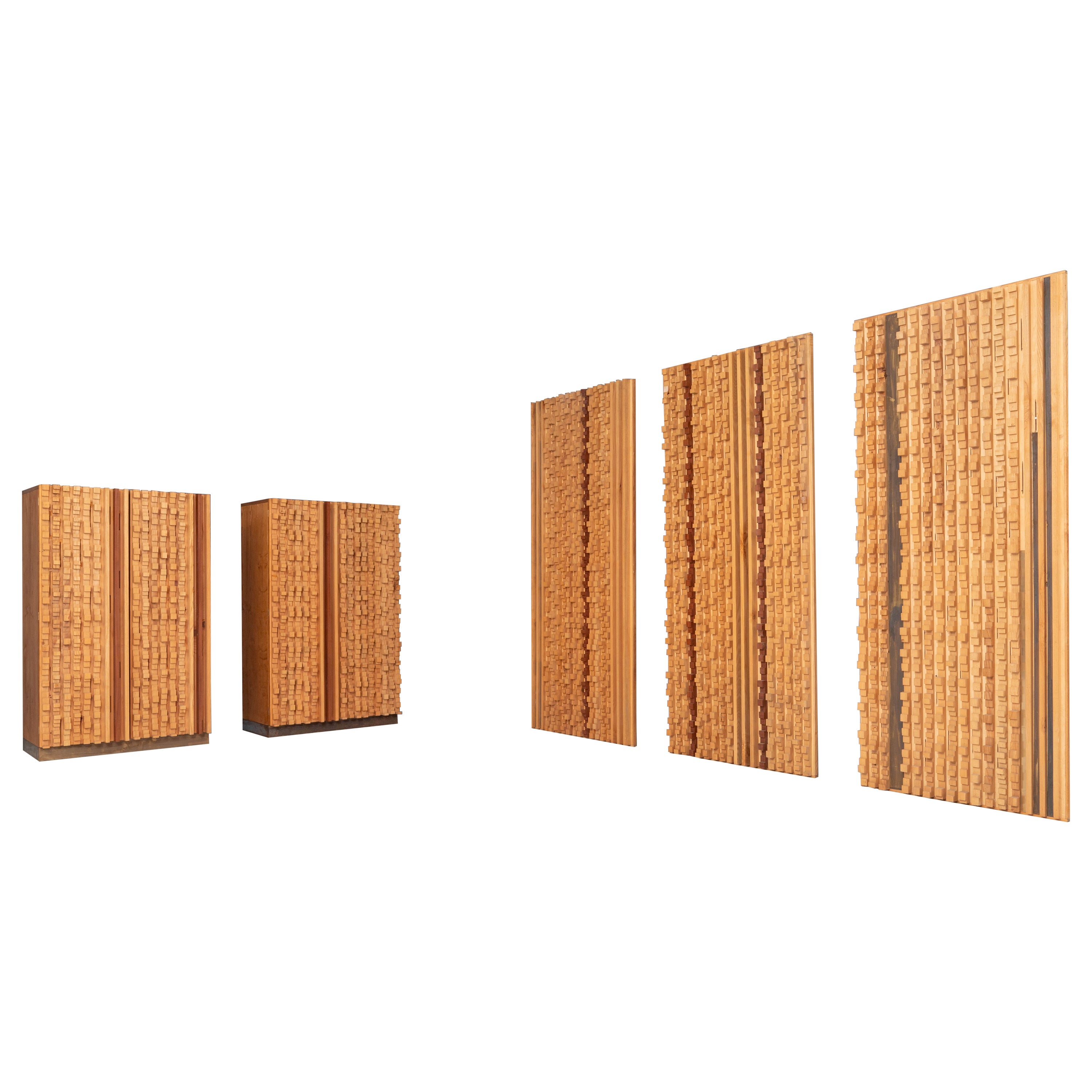 Set of 3 Wall Panels and 2 Cabinets by Stefano d'Amico, Italy, 1975 For Sale