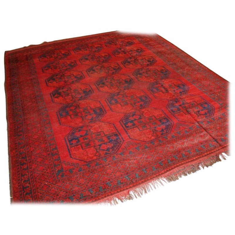 Antique Afghan Sulayman Carpet For Sale