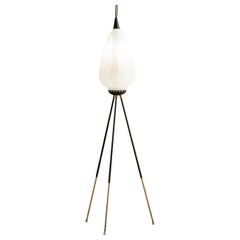 Opaline Glass and Iron Floor Lamp Attributed to Stilnovo