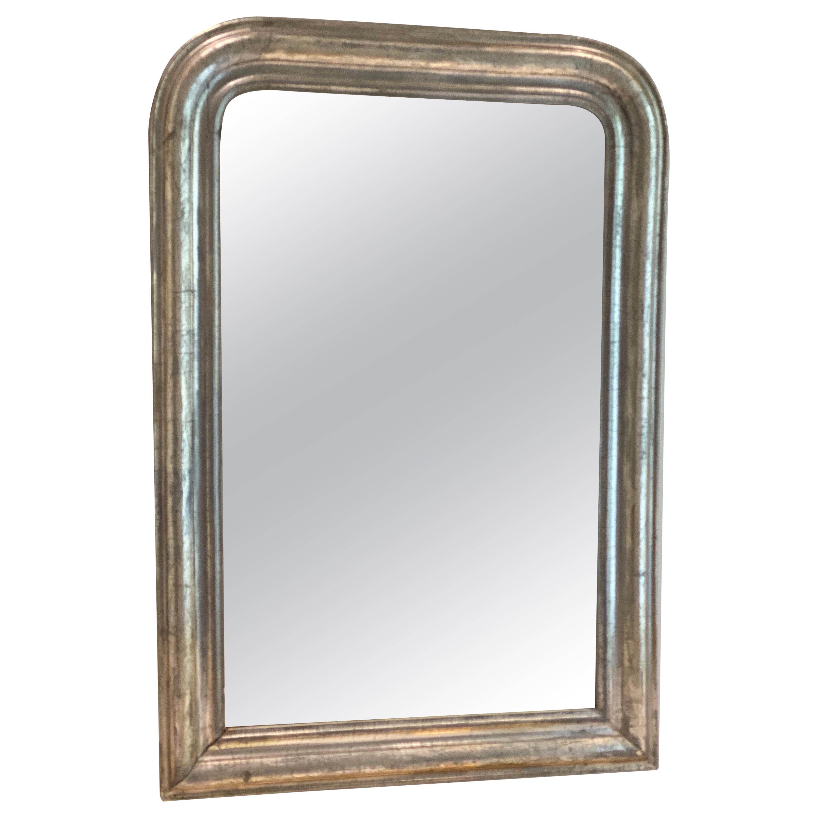 19th Century French Louis Philippe Silver Gilt Mirror