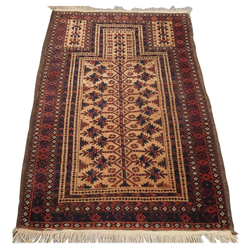 Antique Baluch Camel Ground Prayer Rug with Tree of Life, circa 1900 For Sale