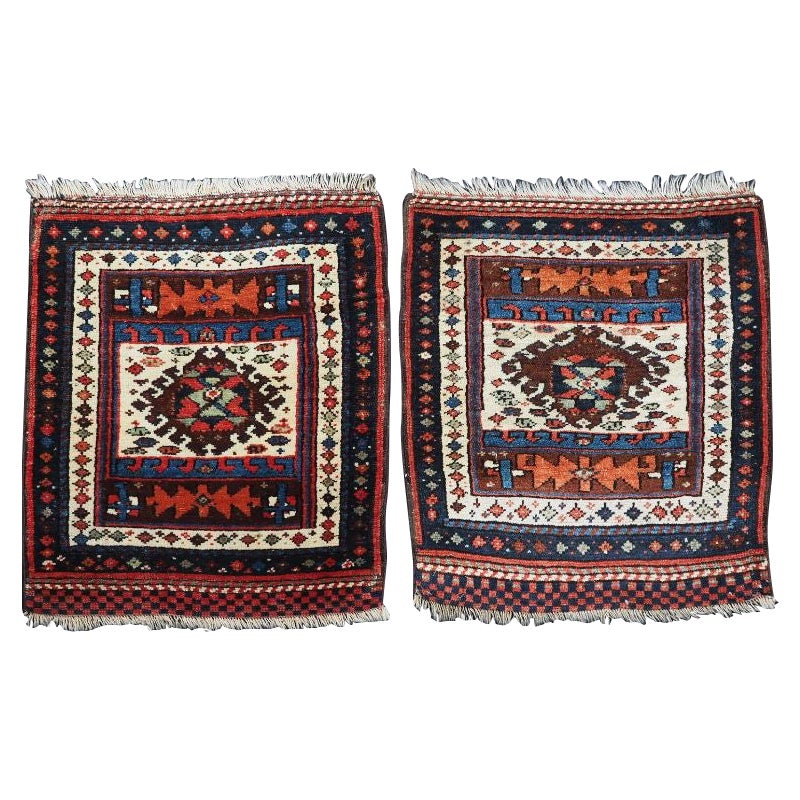 Antikes Paar kurdischer Satteltaschen mit prächtigem Medaillondesign, Paar im Angebot